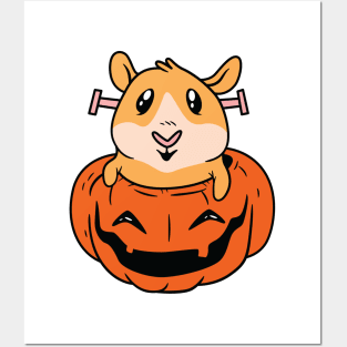 Guinea Pig In Pumpkin Halloween Posters and Art